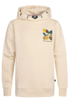 Boys Sweater Hooded Print