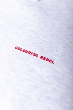 Flower Square Dropped Shoulder Sweat