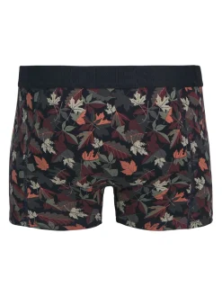 JACCOLLIN TRUNK NOOS