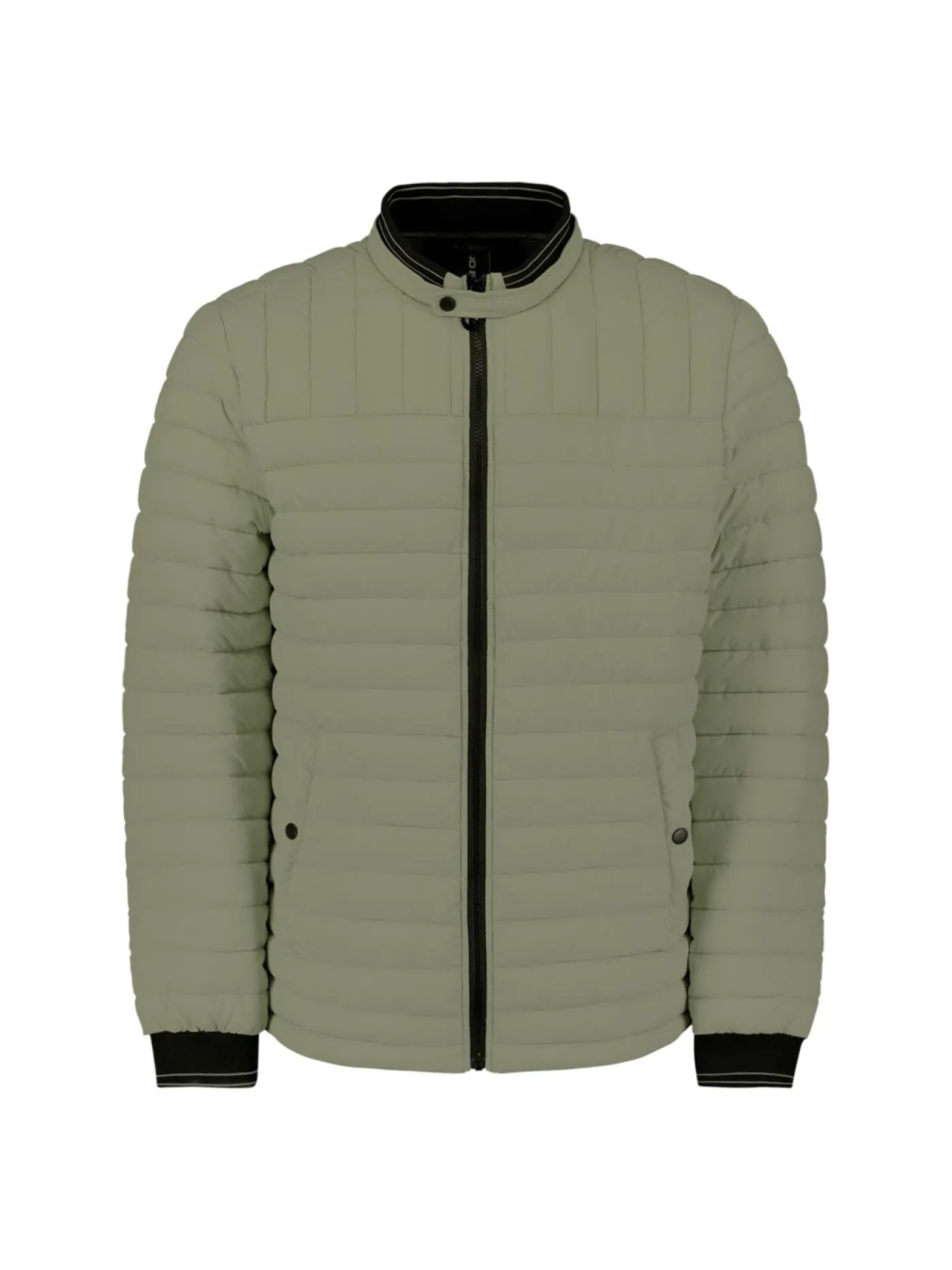 Jacket Short Fit Padded