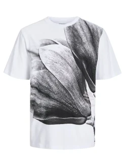 JCODUNYA TEE SS CREW NECK JNR