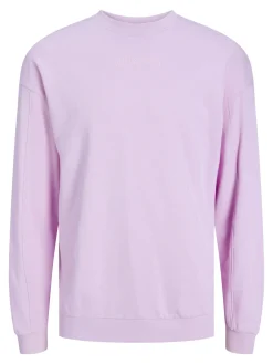 JCOSTAGGER SWEAT CREW NECK JNR