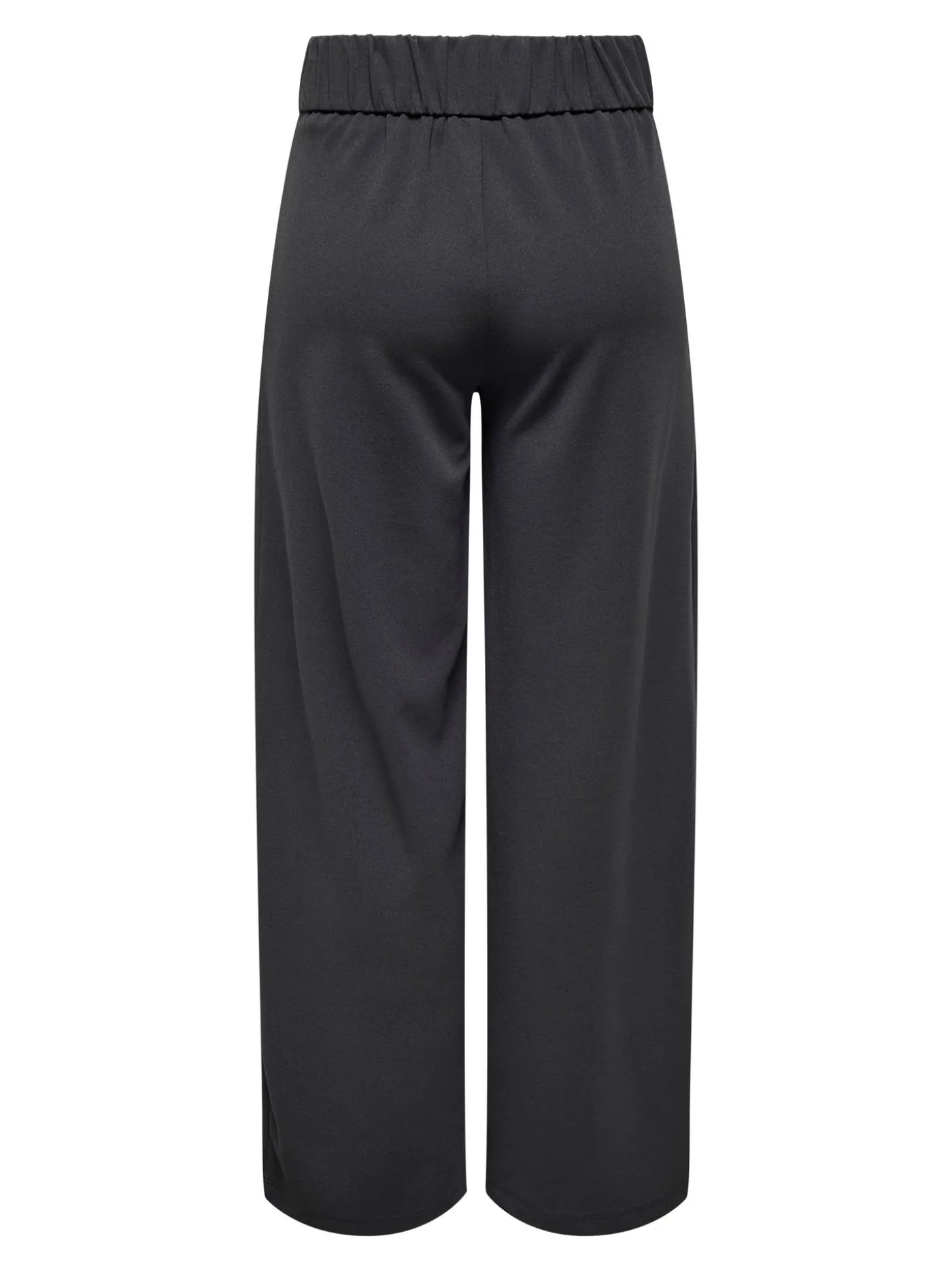 JDYLOUISVILLE CATIA LIFE WD PNT JRS