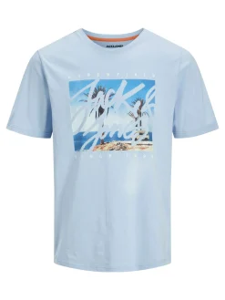JJCOLTON PHOTOPRINT TEE SS CREW NE