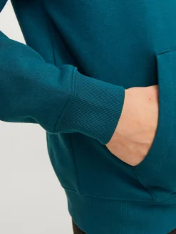 JJESTAR JJ SWEAT HOOD NOOS JNR