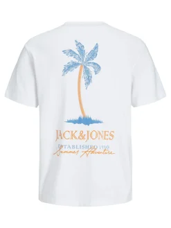 JJSUMMER VIBES TEE SS CREW NECK LN
