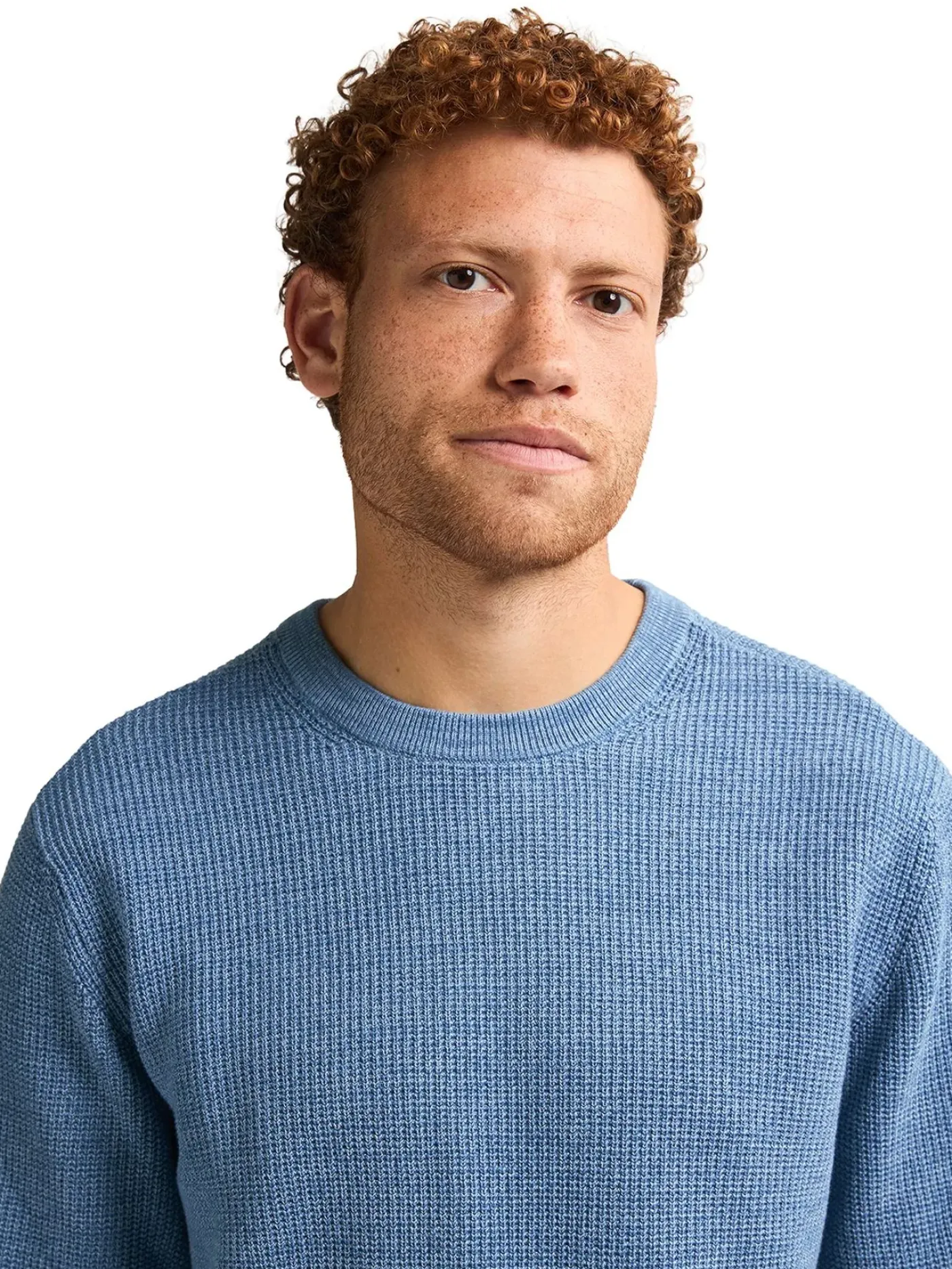 Men Knitwear Round Neck Basic