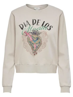 ONLLUCINDA LIFE L/S MEXI BOX SWT - Pumice Stone/DI