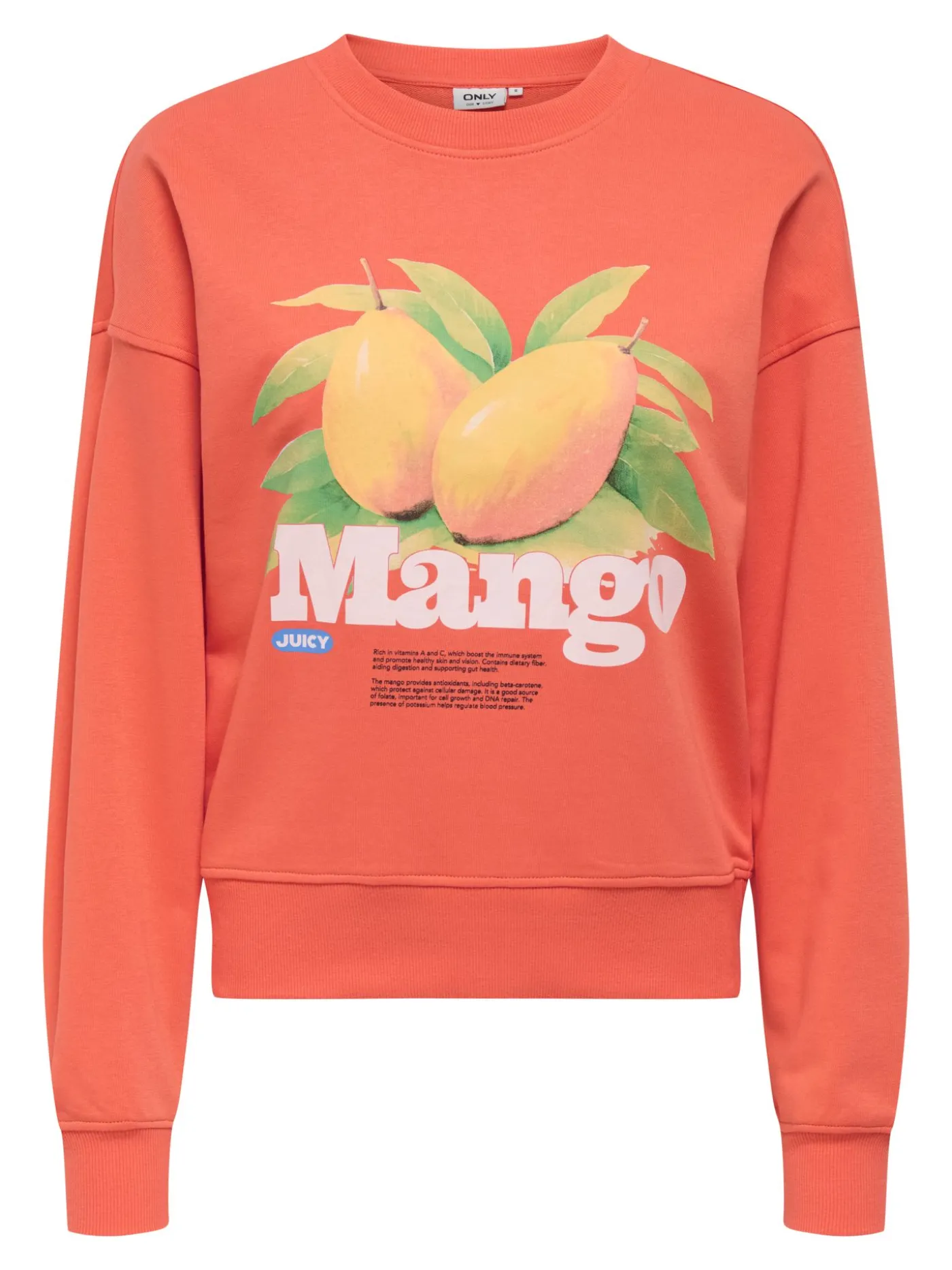 ONLPHILEA L/S FRUIT O-NECK UB SWT