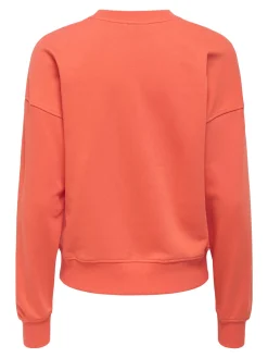 ONLPHILEA L/S FRUIT O-NECK UB SWT