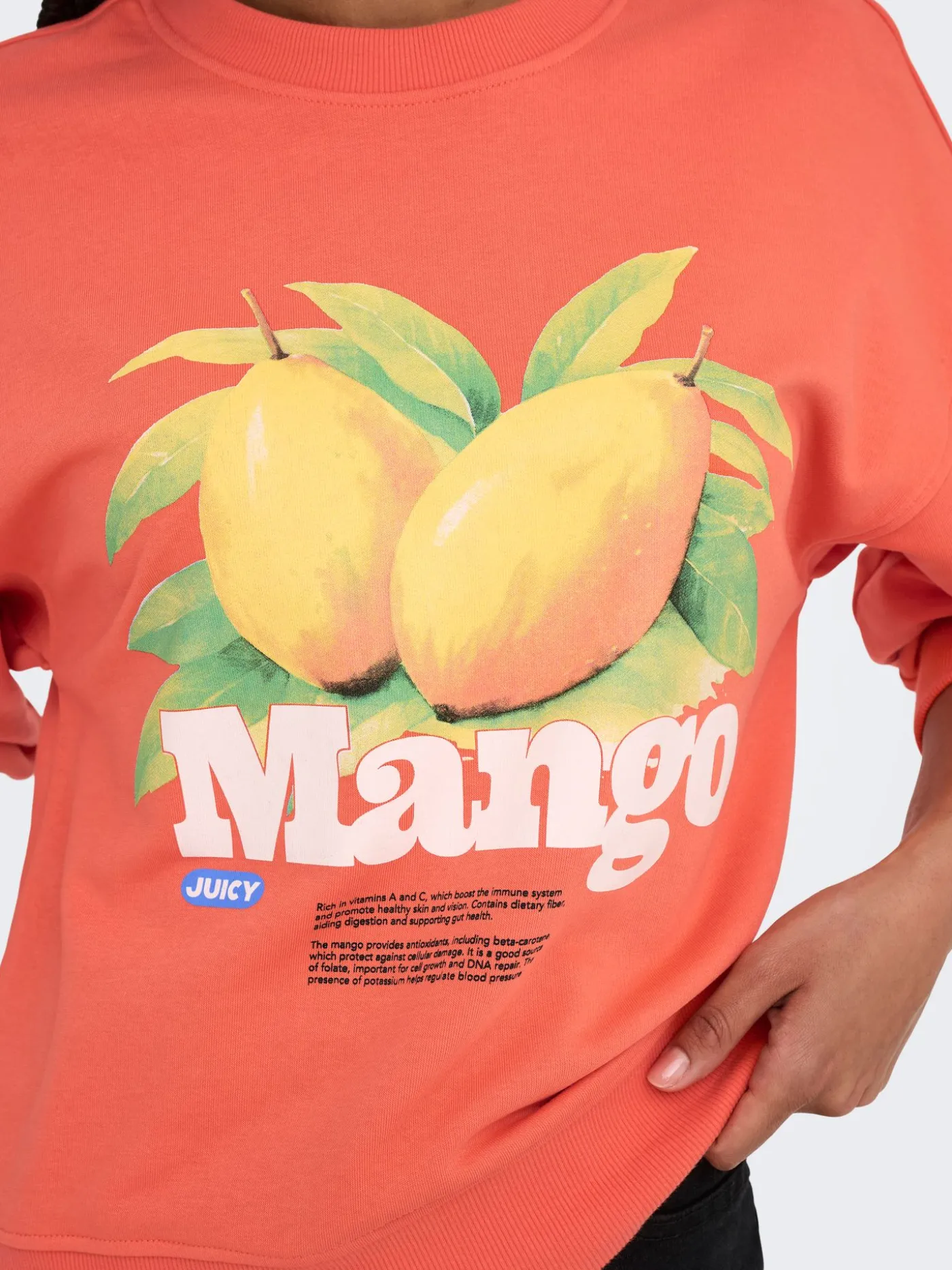 ONLPHILEA L/S FRUIT O-NECK UB SWT