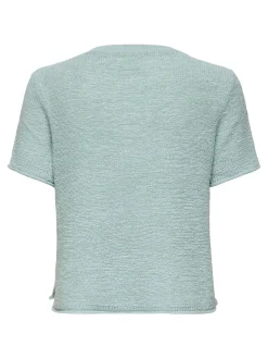 ONLSUNNY S/S PULLOVER KNT NOOS