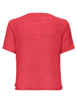 ONLSUNNY S/S PULLOVER KNT NOOS