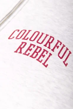 Varsity Logo Relaxed Zip Sweat